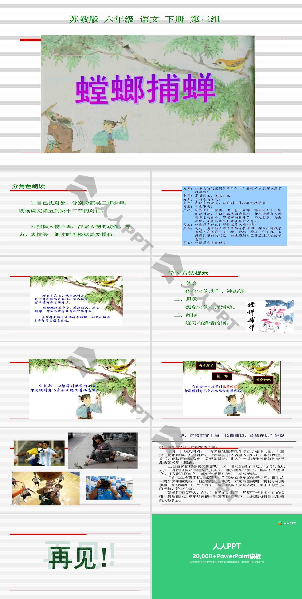 《螳螂捕蝉》PPT课件3长图