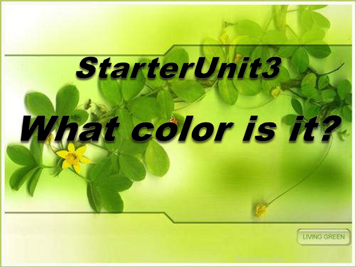 《What color is it?》StarterUnit3PPT课件6