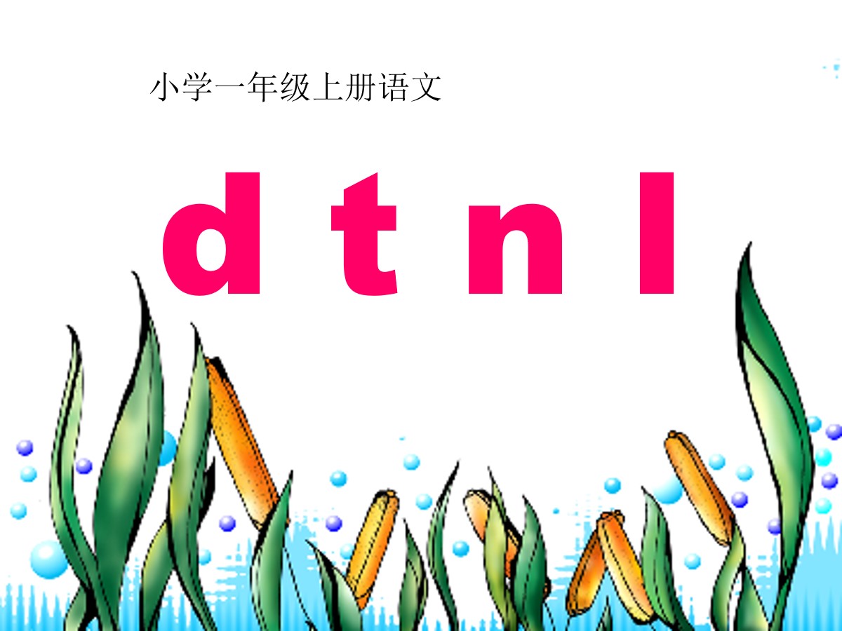 《dtnl》PPT课件3