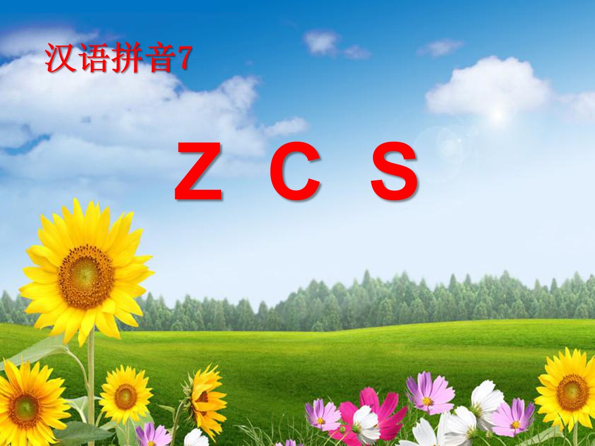 《zcs》PPT课件4