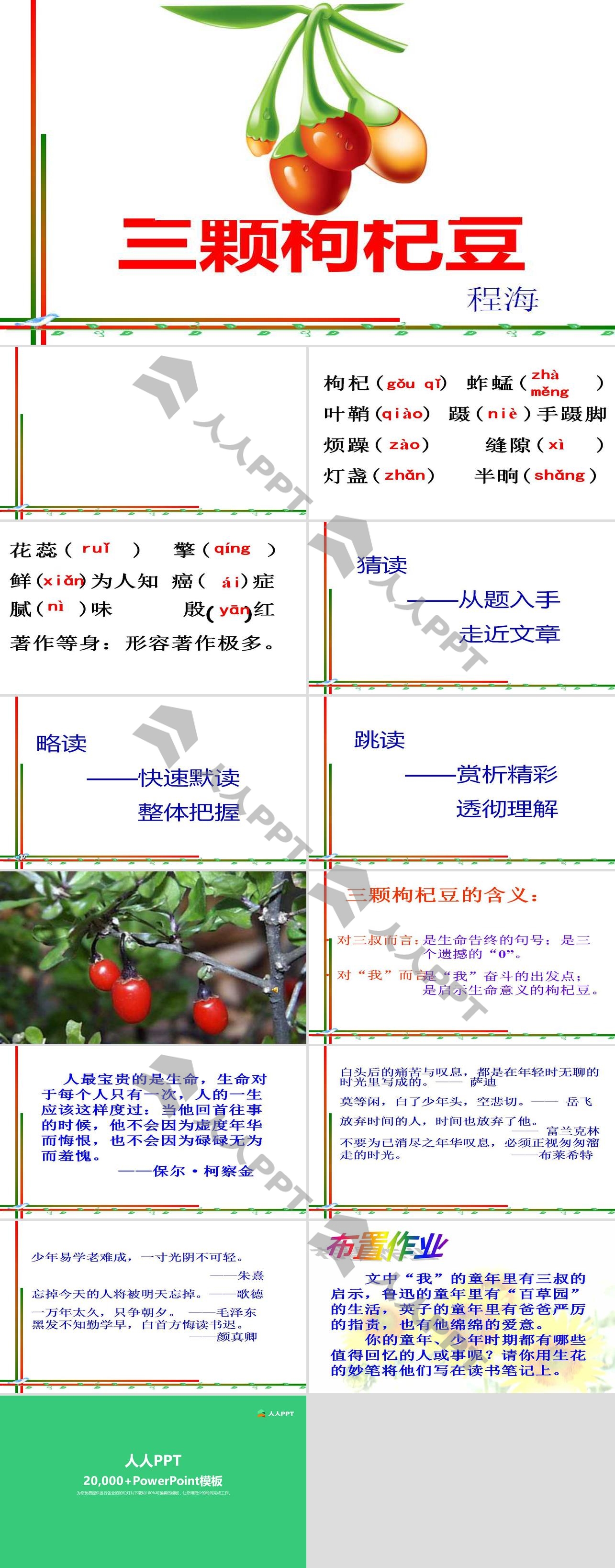 《三颗枸杞豆》PPT课件4长图