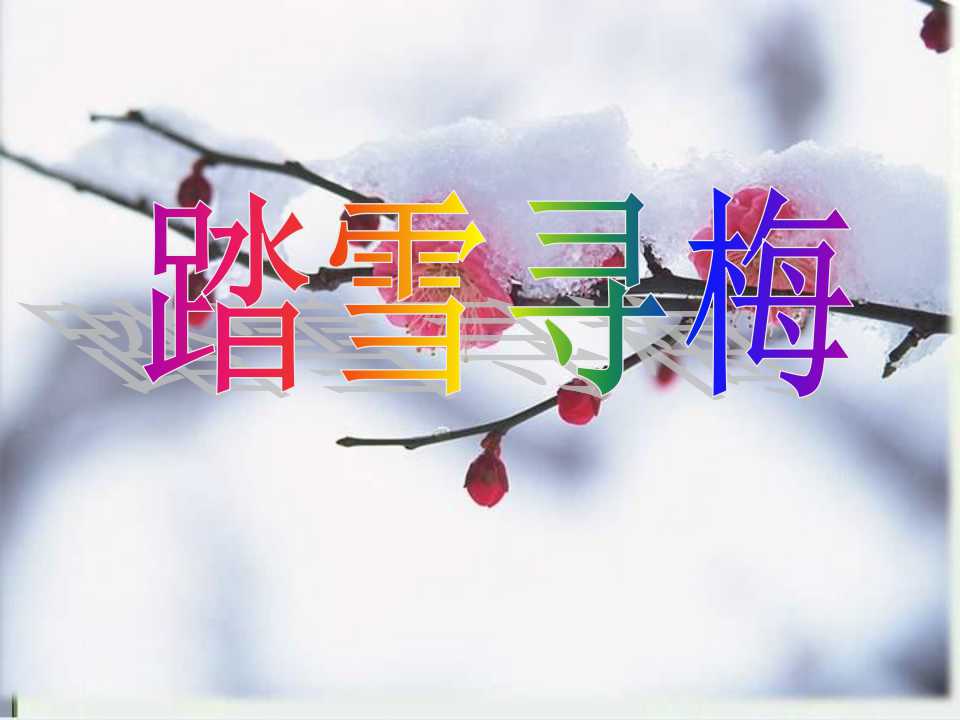 《踏雪寻梅》PPT课件