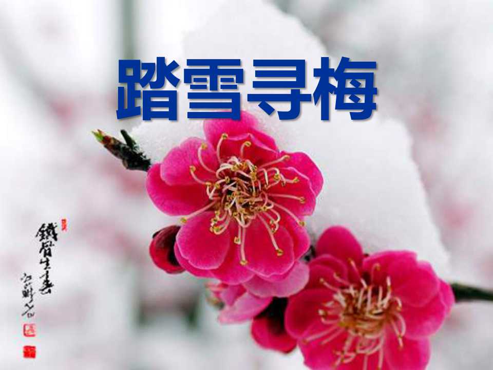 《踏雪寻梅》PPT课件3