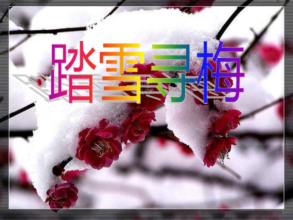 《踏雪寻梅》PPT课件6