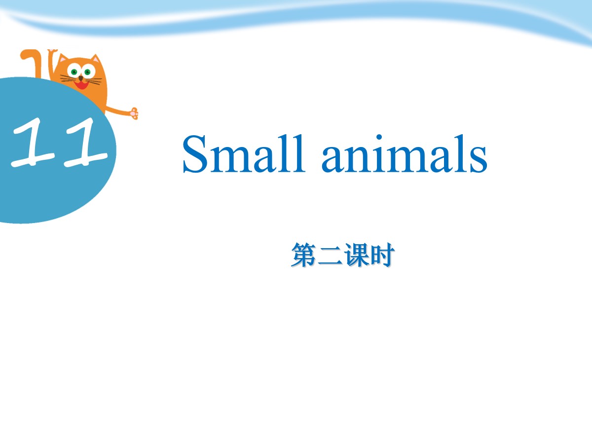 《Small animals》PPT课件