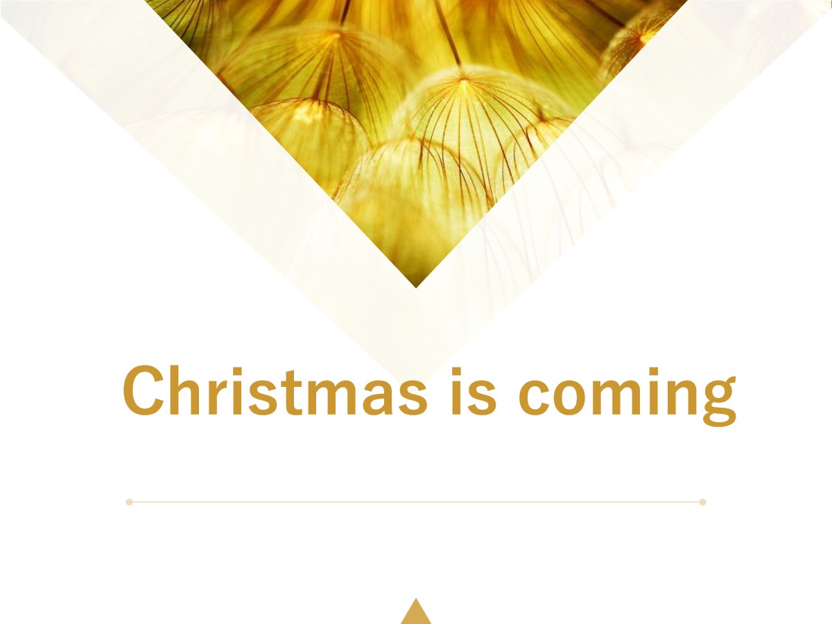 《Christmas is coming》PPT课件