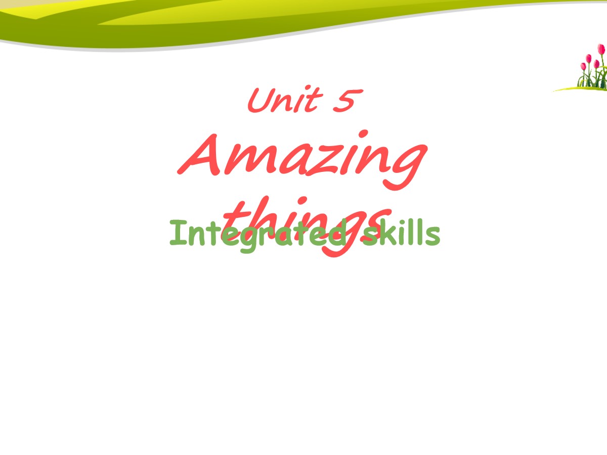 《Amazing things》Integrated skillsPPT