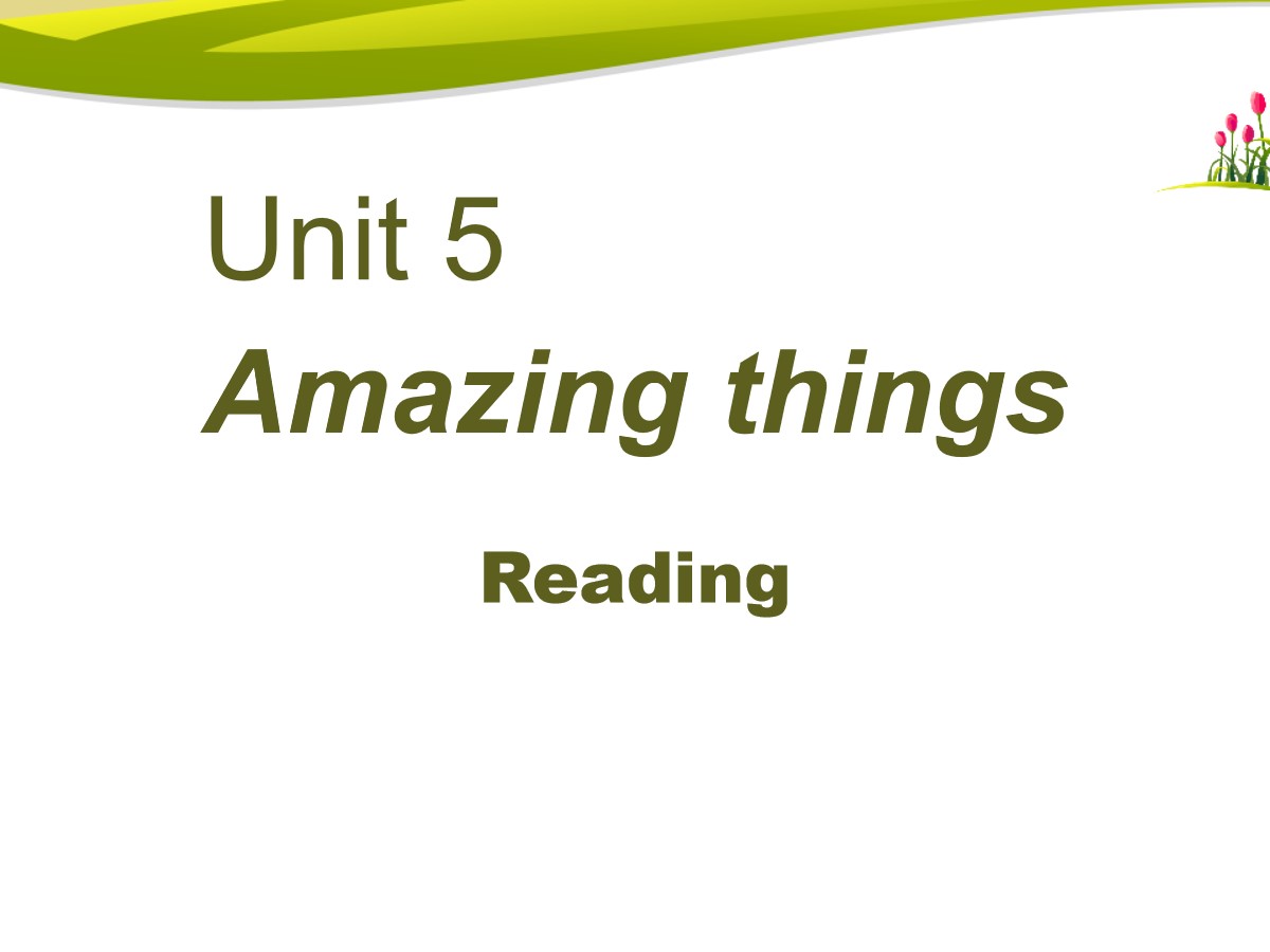 《Amazing things》ReadingPPT