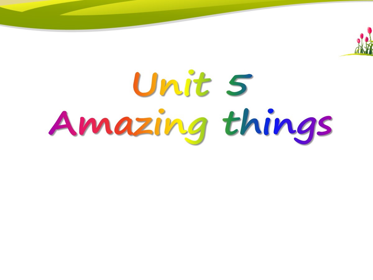 《Amazing things》PPT