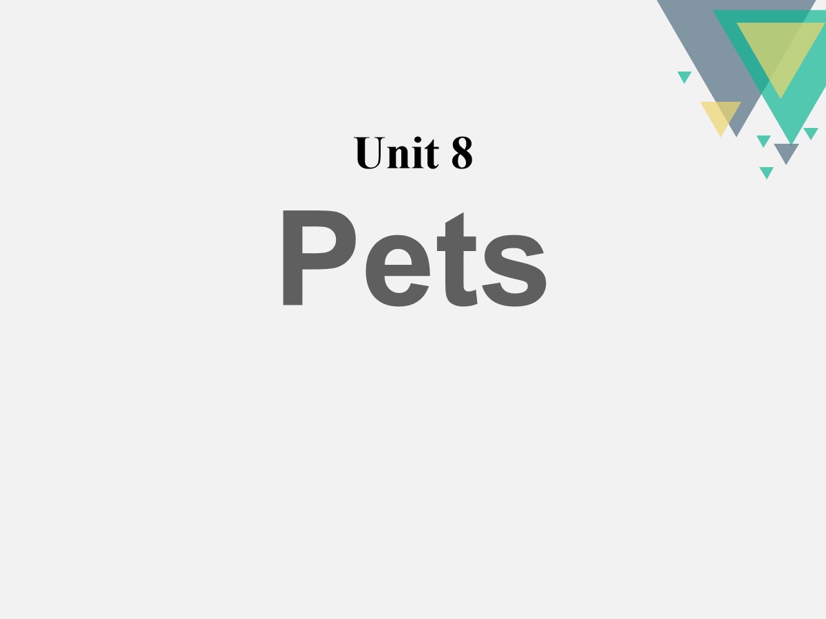 《Pets》PPT