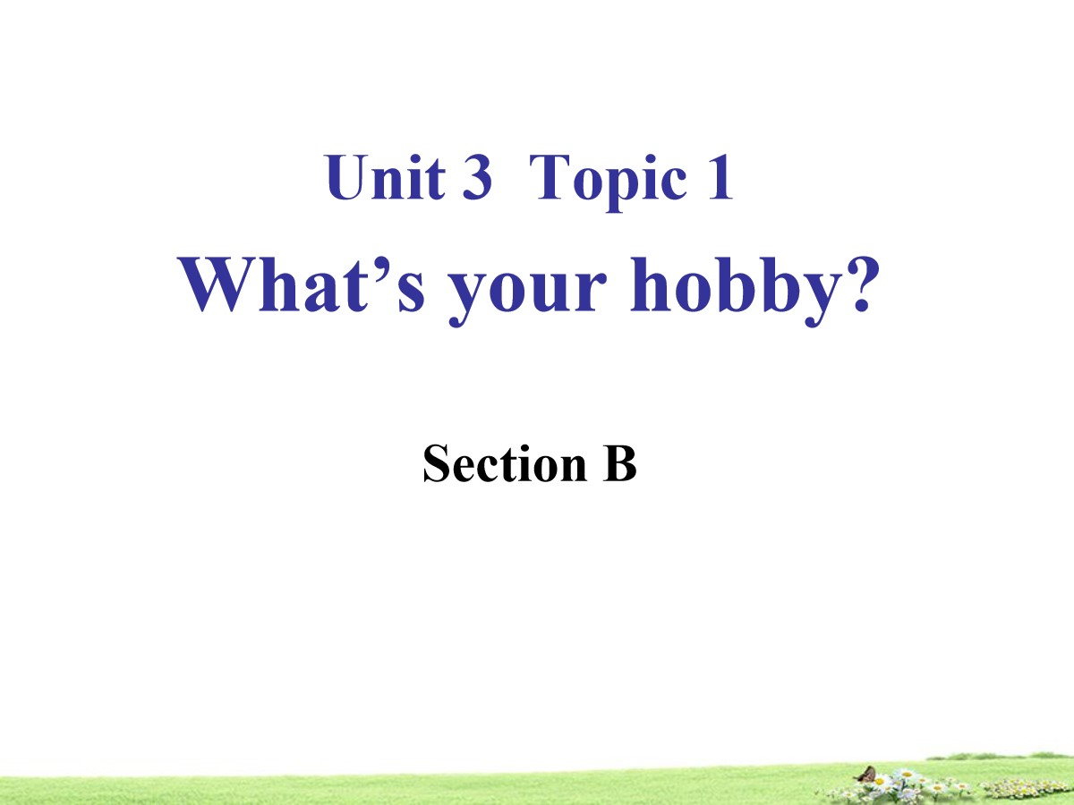 《What's your hobby?》SectionB PPT