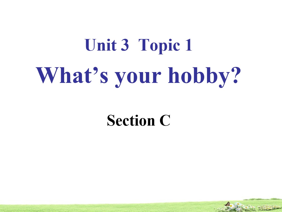 《What's your hobby?》SectionC PPT