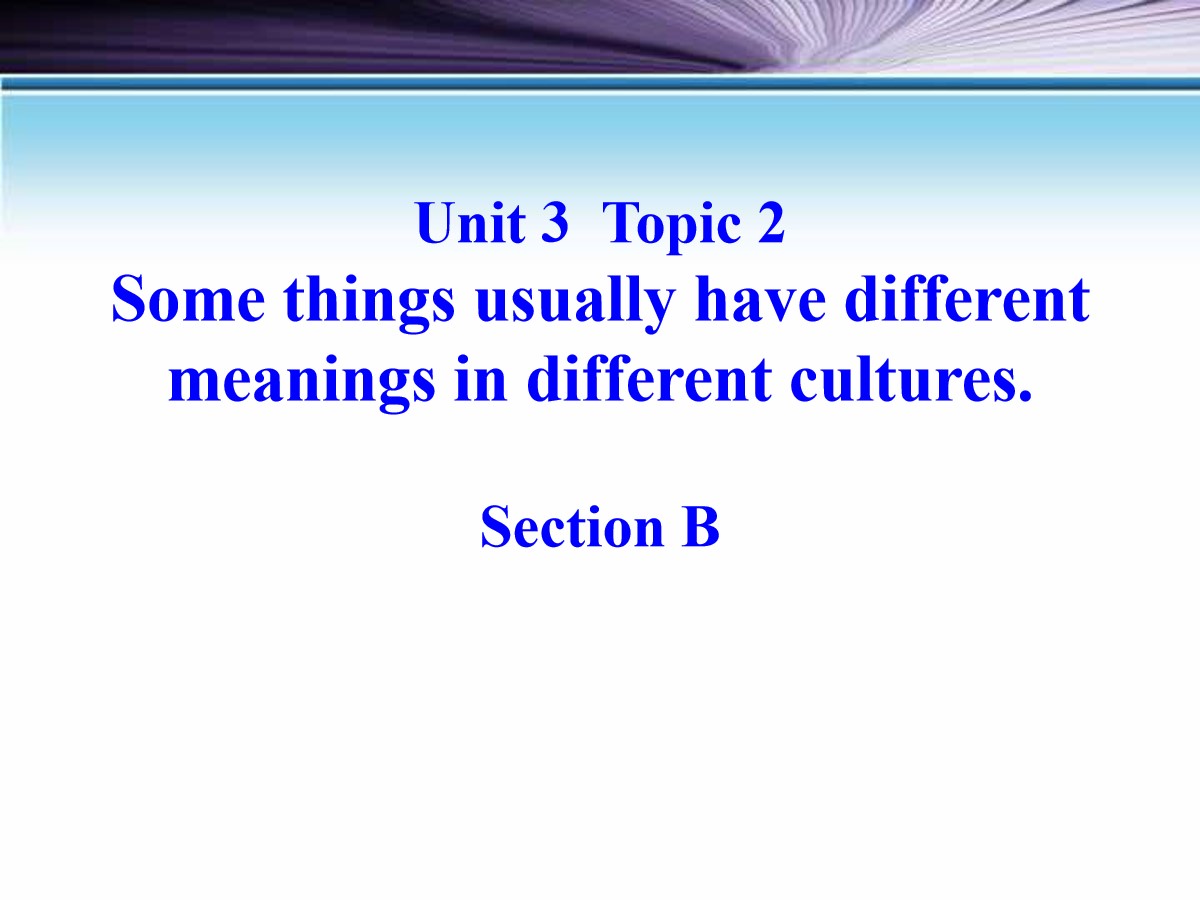 《Some things usually have different meanings in different cultures》SectionB PPT