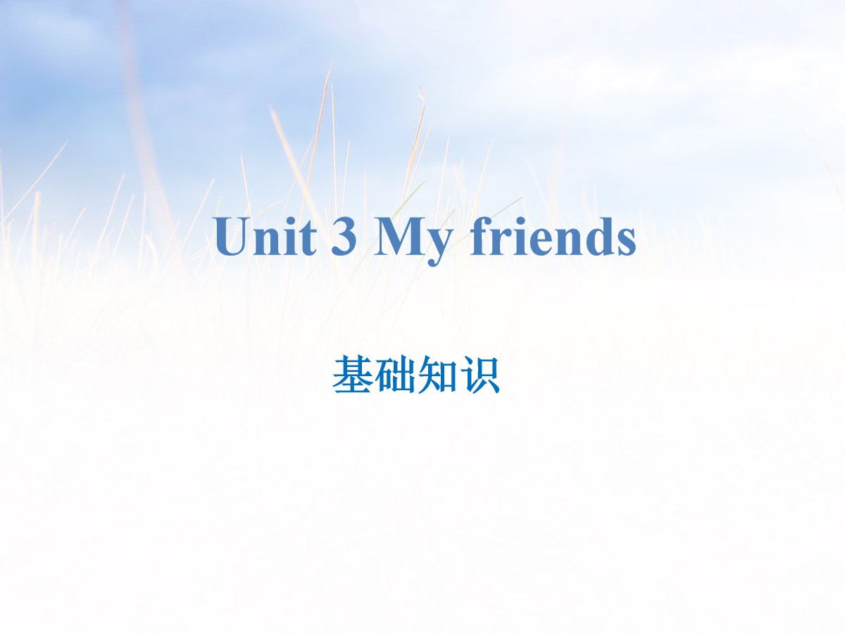 《My friends》基础知识PPT