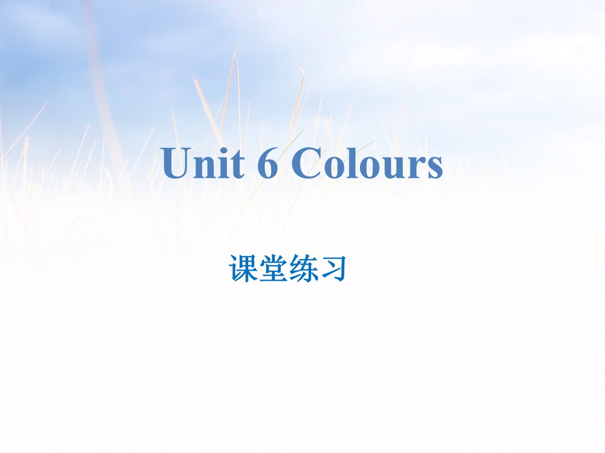 《Colours》课堂练习PPT