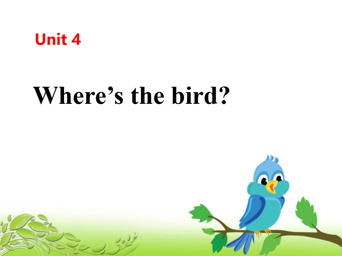 《Where's the bird?》PPT(第一课时)