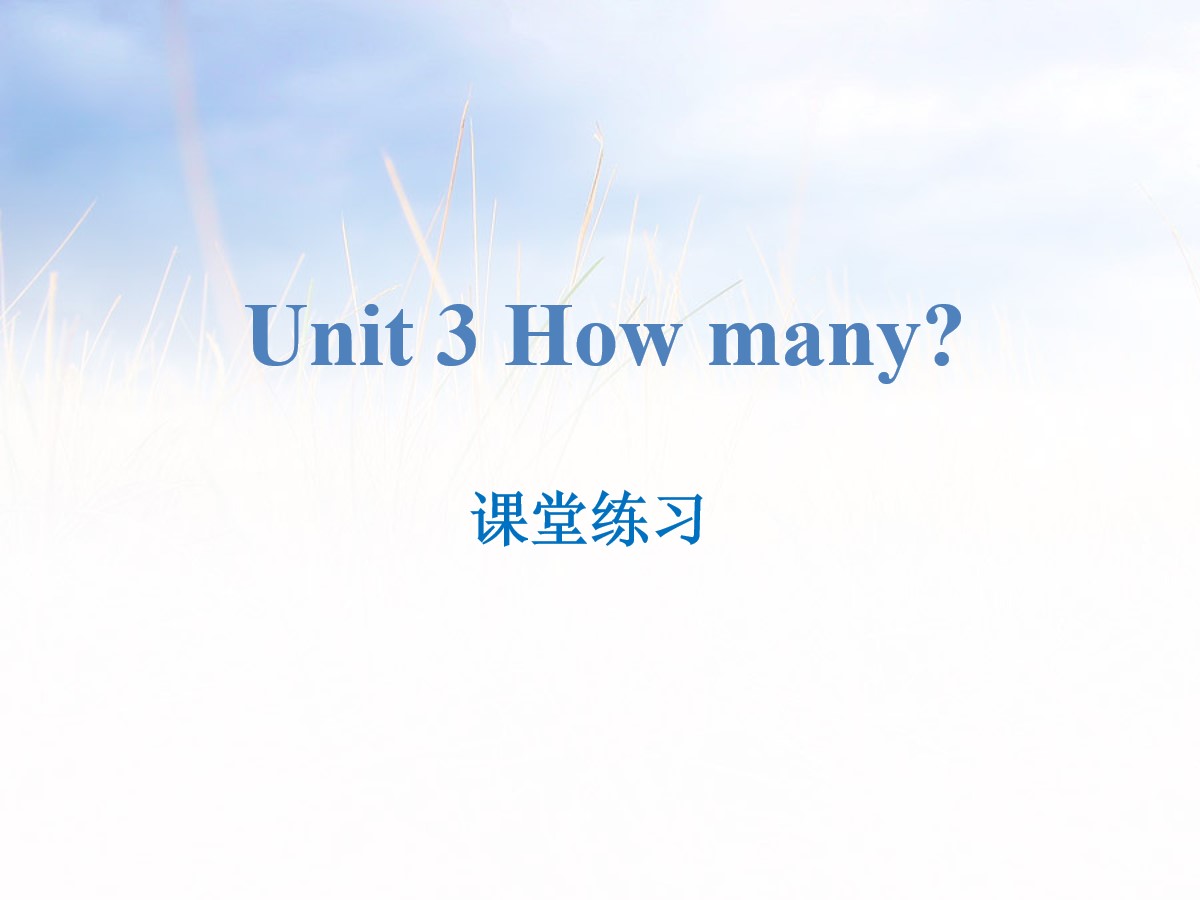 《How many?》课堂练习PPT