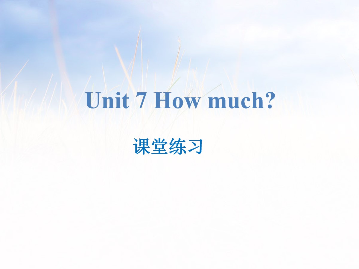 《How much?》课堂练习PPT