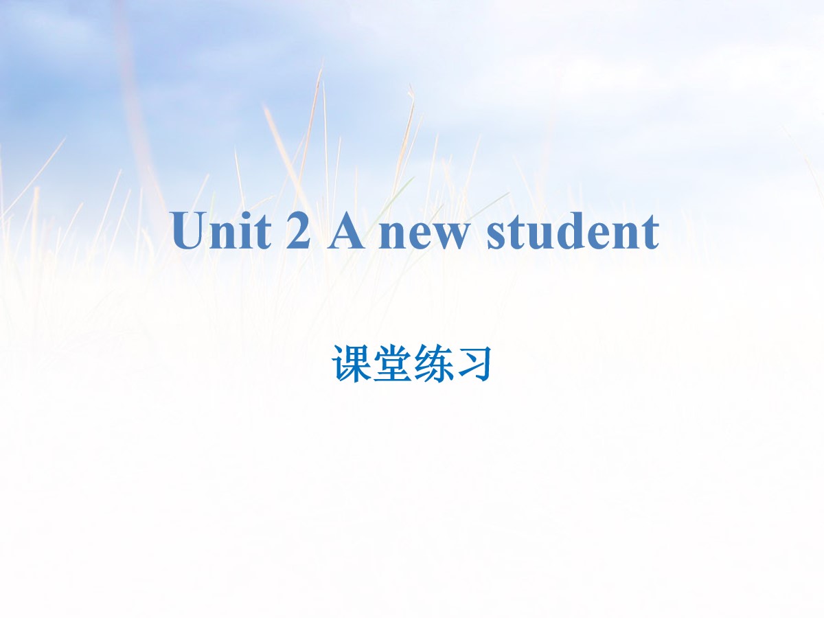 《A new student》课堂练习PPT