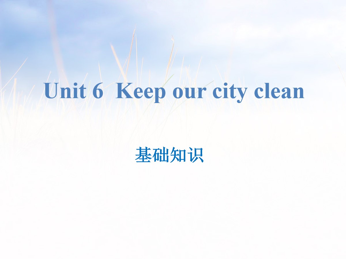 《Keep our city clean》基础知识PPT