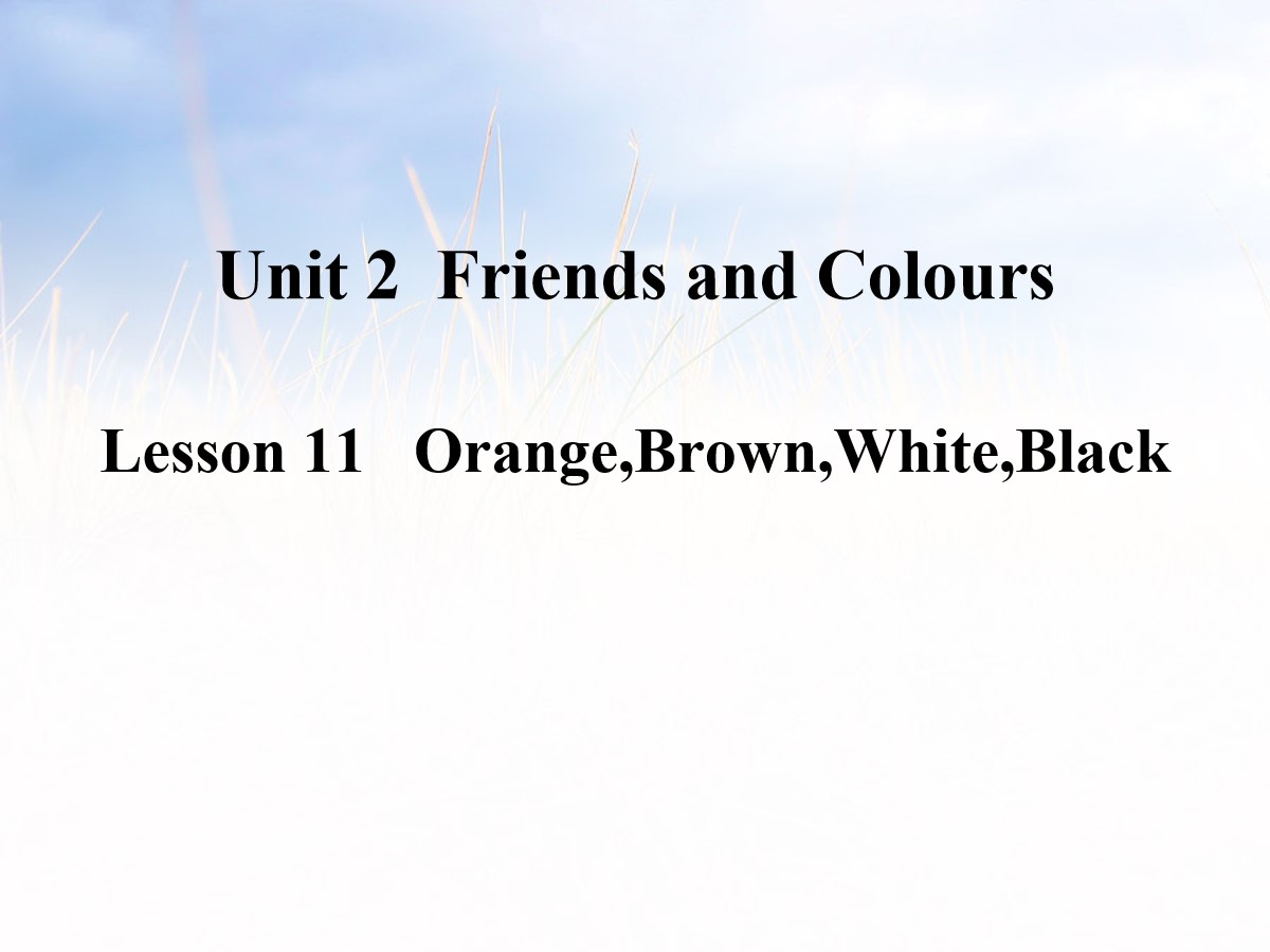 《Orange,Brown,White,Black》Friends and Colours PPT教学课件