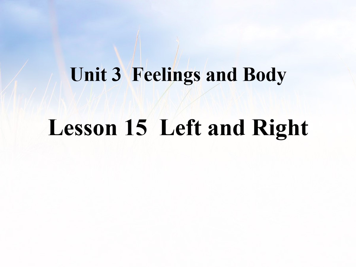 《Left and Right》Feelings and Body PPT教学课件