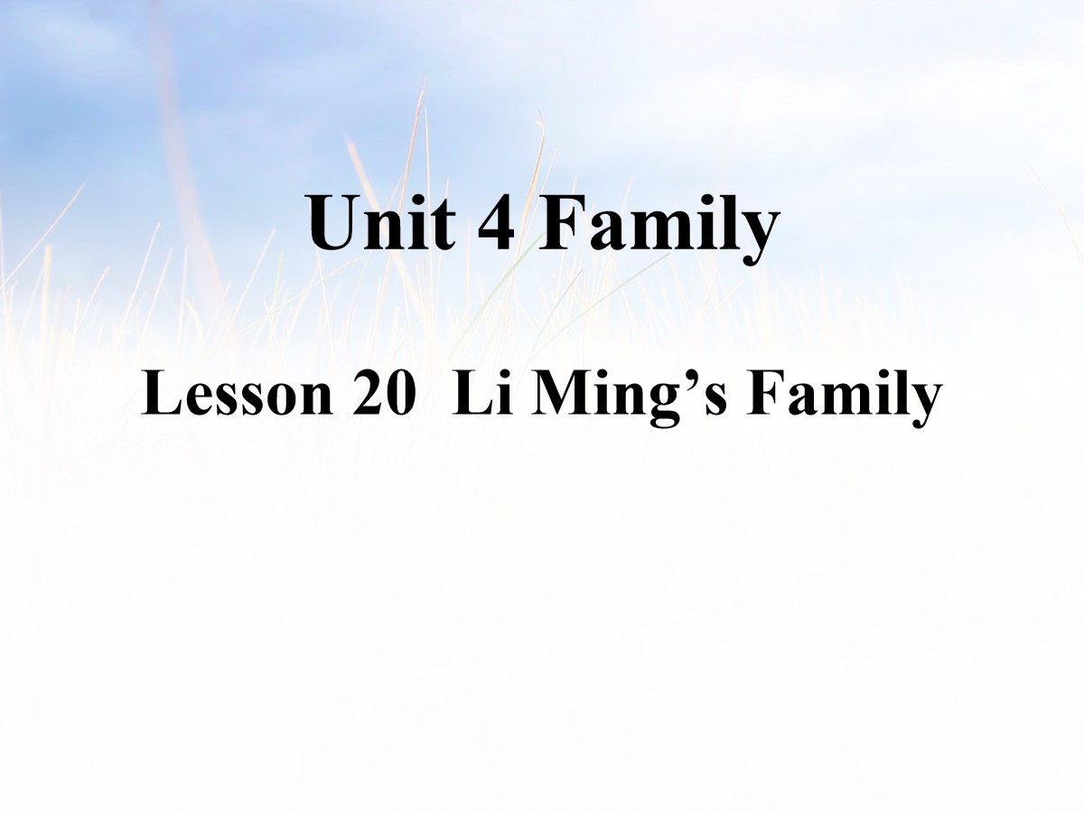 《Li Ming's Family》Family PPT教学课件