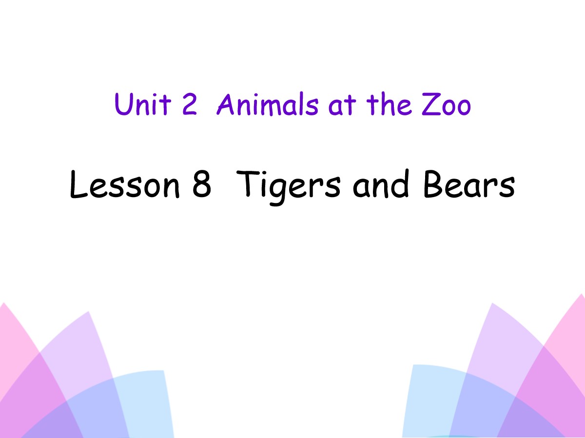 《Tigers and Bears》Animals at the zoo PPT课件