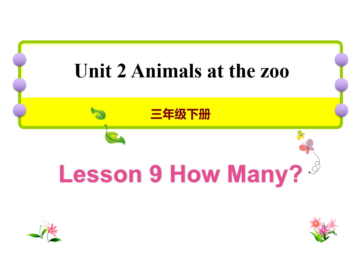 《How many?》Animals at the zoo PPT课件