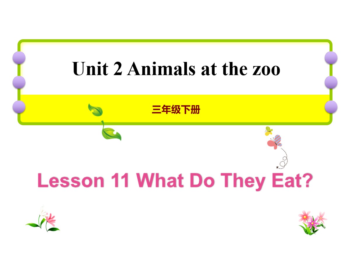 《What Do They Eat?》Animals at the zoo PPT