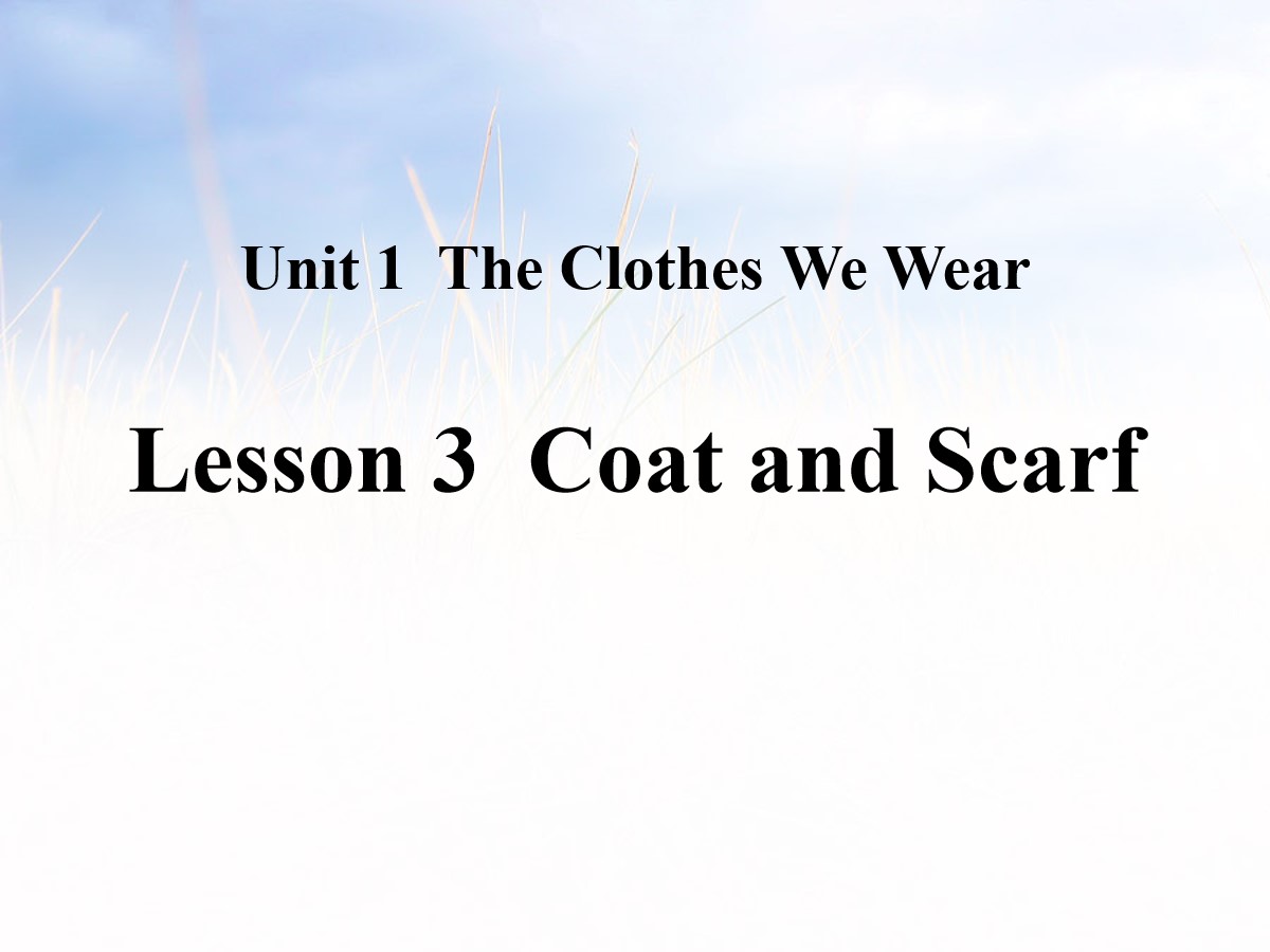 《Coat and Scarf》The Clothes We Wear PPT课件