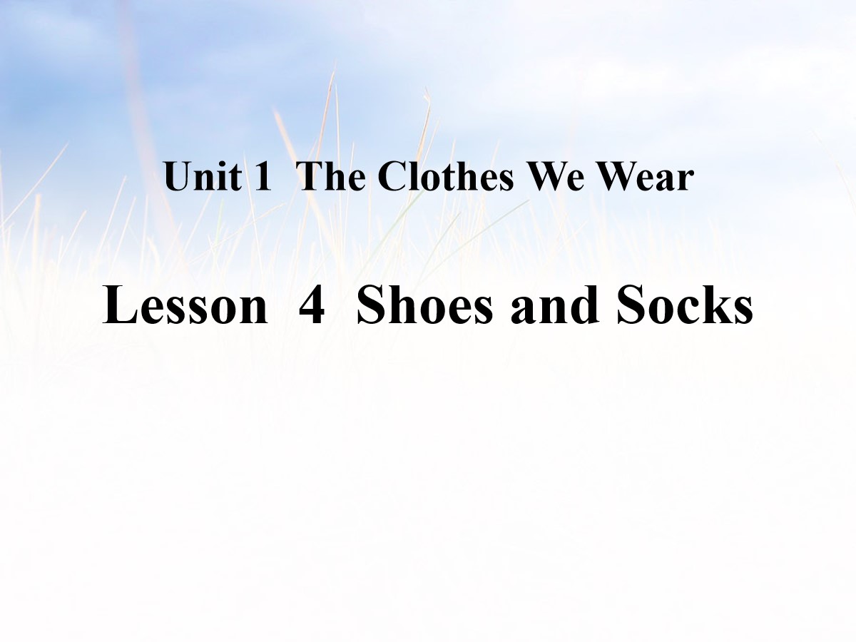 《Shoes and Socks》The Clothes We Wear PPT教学课件