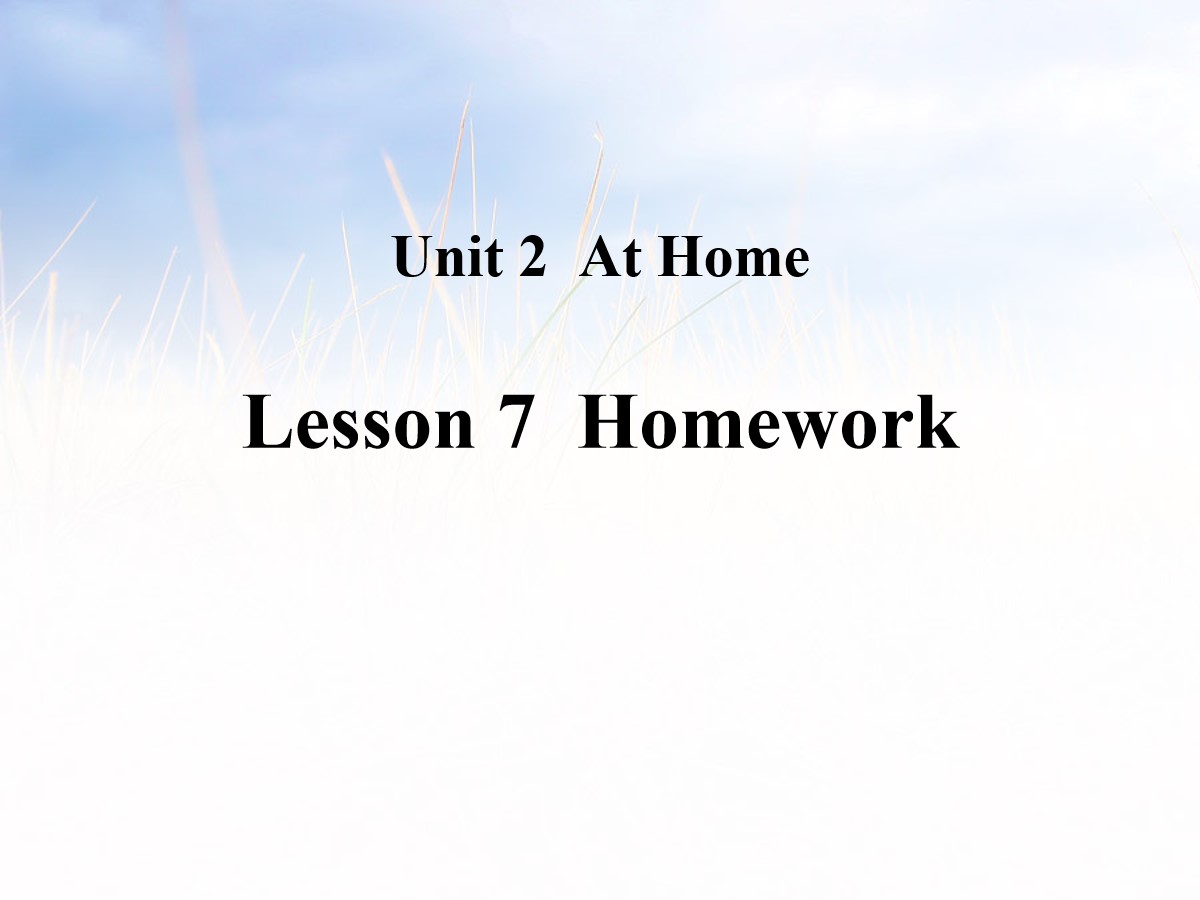 《Homework》At Home PPT教学课件