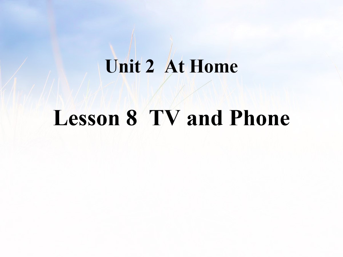 《TV and Phone》At Home PPT教学课件