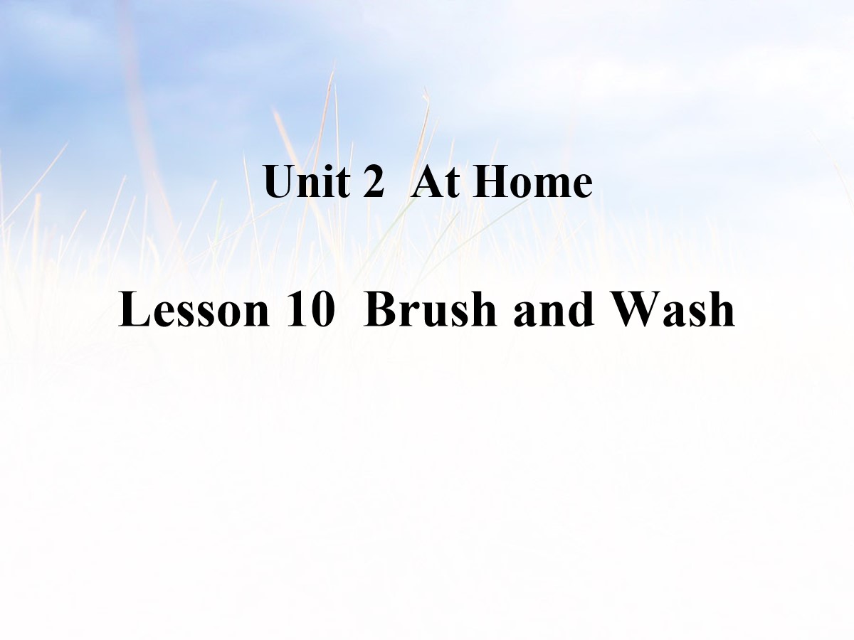 《Brush and Wash》At Home PPT课件