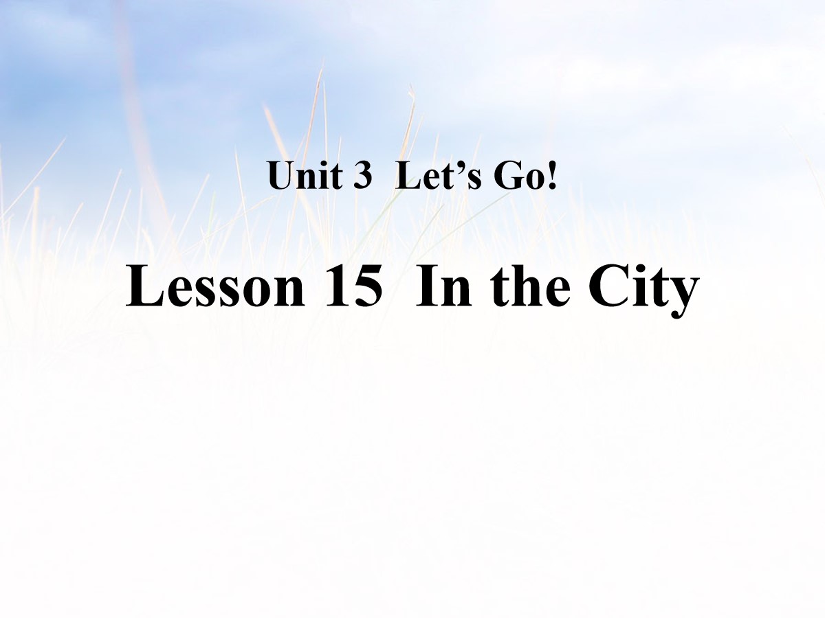 《In the City》Let's Go! PPT教学课件