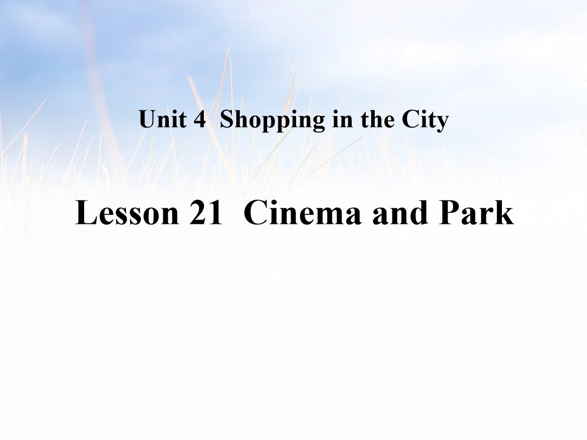 《Cinema and Park》Shopping in the City PPT教学课件