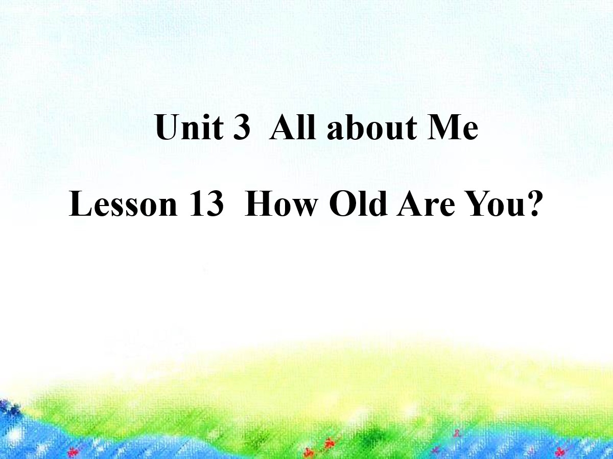 《How Old Are You?》All about Me PPT