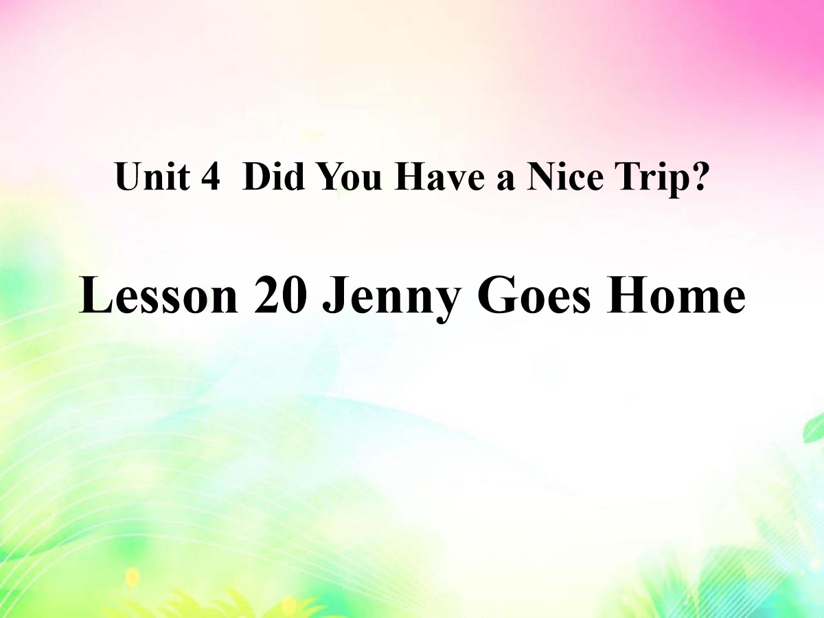 《Jenny Goes Home》Did You Have a Nice Trip? PPT