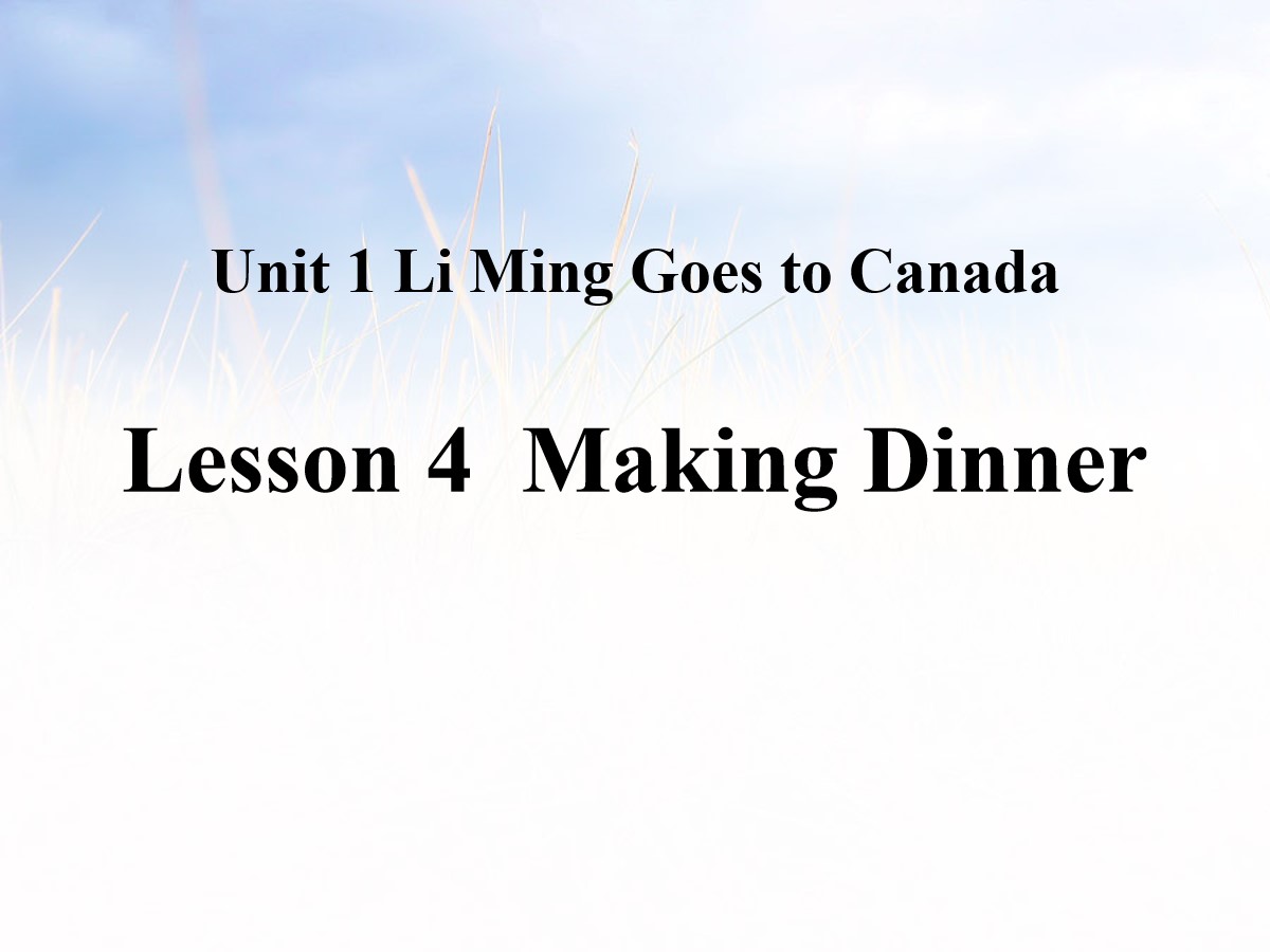 《Making Dinner》Li Ming Goes to Canada PPT课件