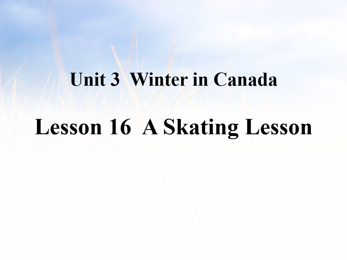 《A Skating Lesson》Winter in Canada PPT课件