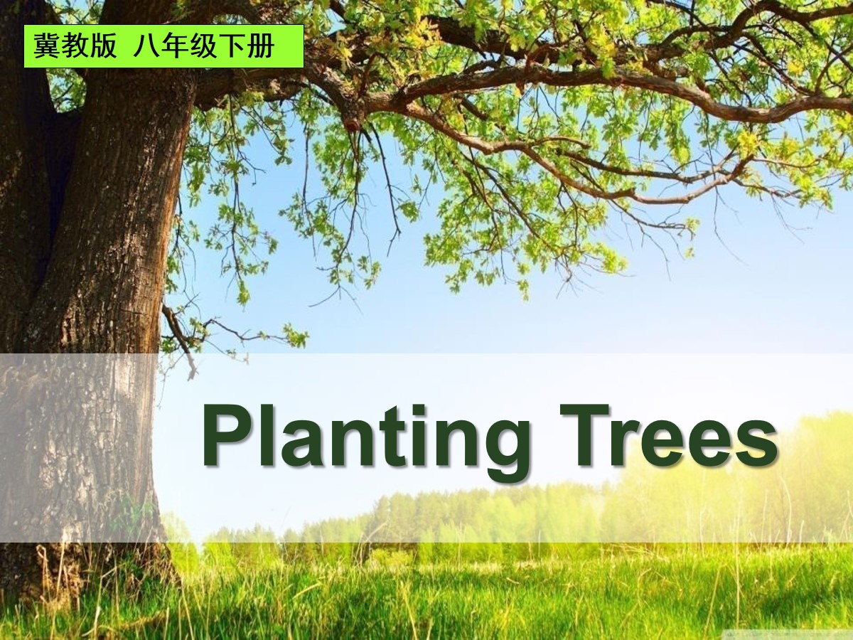 《Planting Trees》Plant a Plant PPT