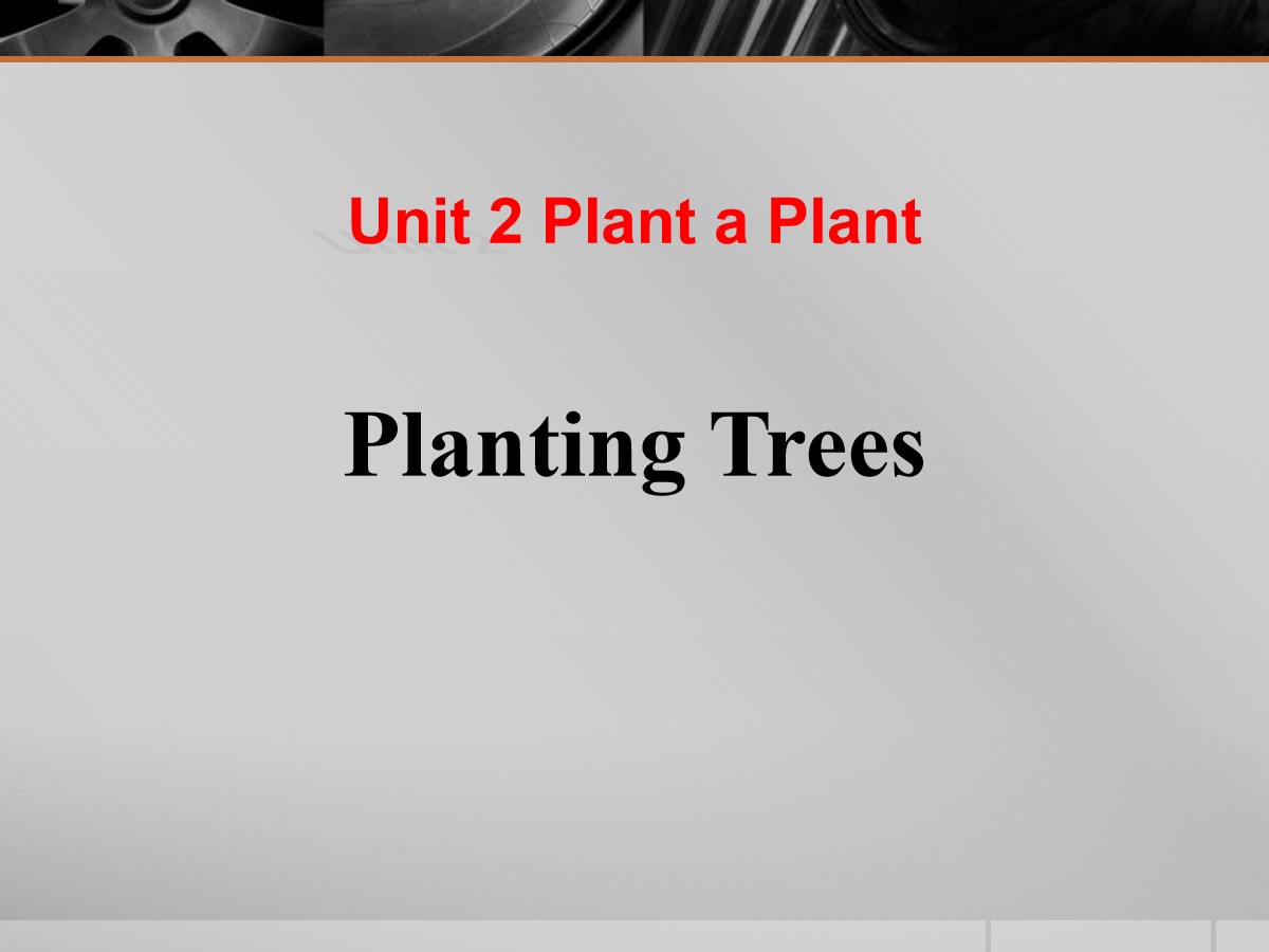 《Planting Trees》Plant a Plant PPT