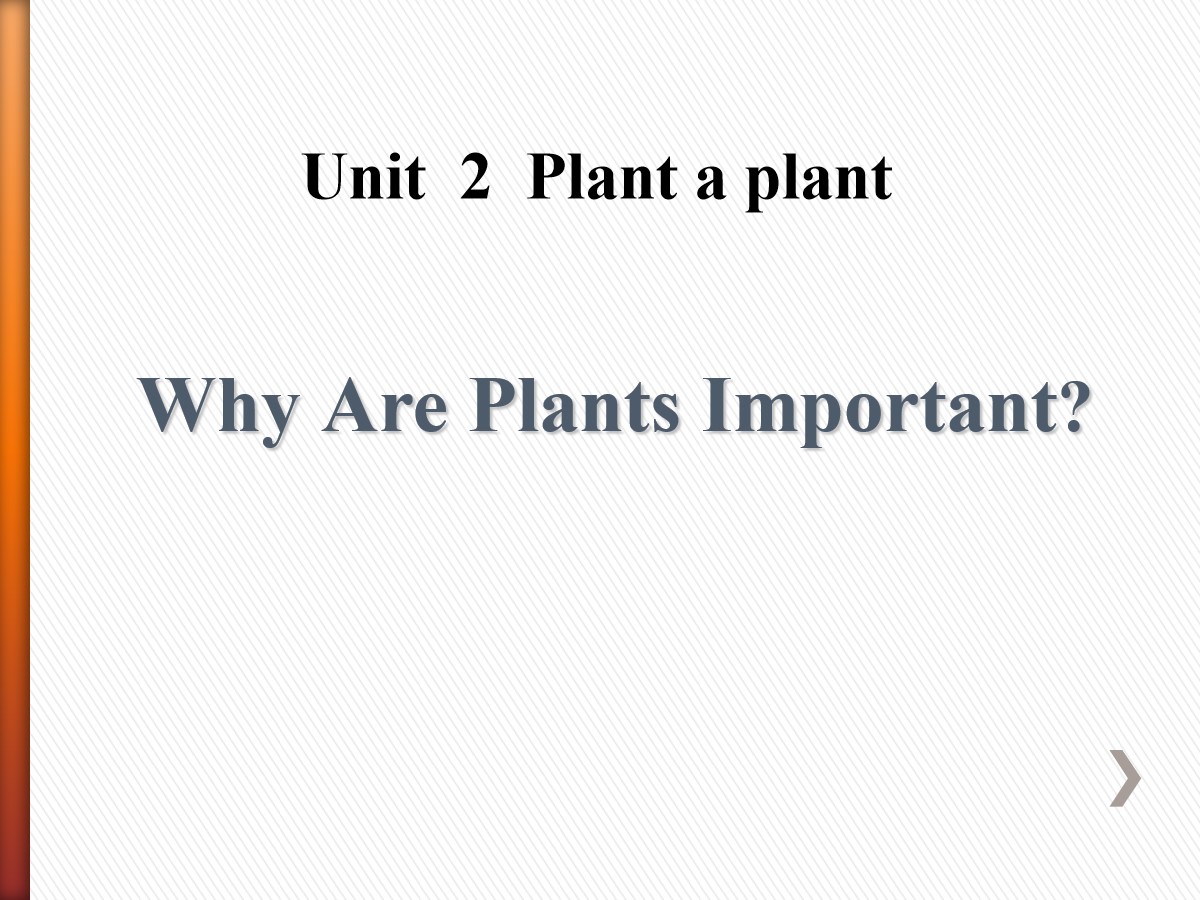 《Why Are Plants Important?》Plant a Plant PPT