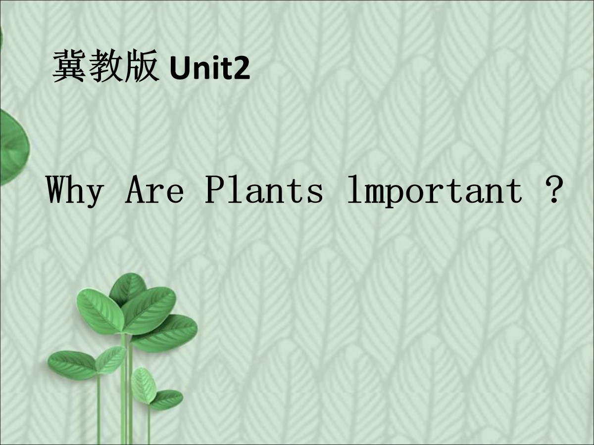 《Why Are Plants Important?》Plant a Plant PPT课件