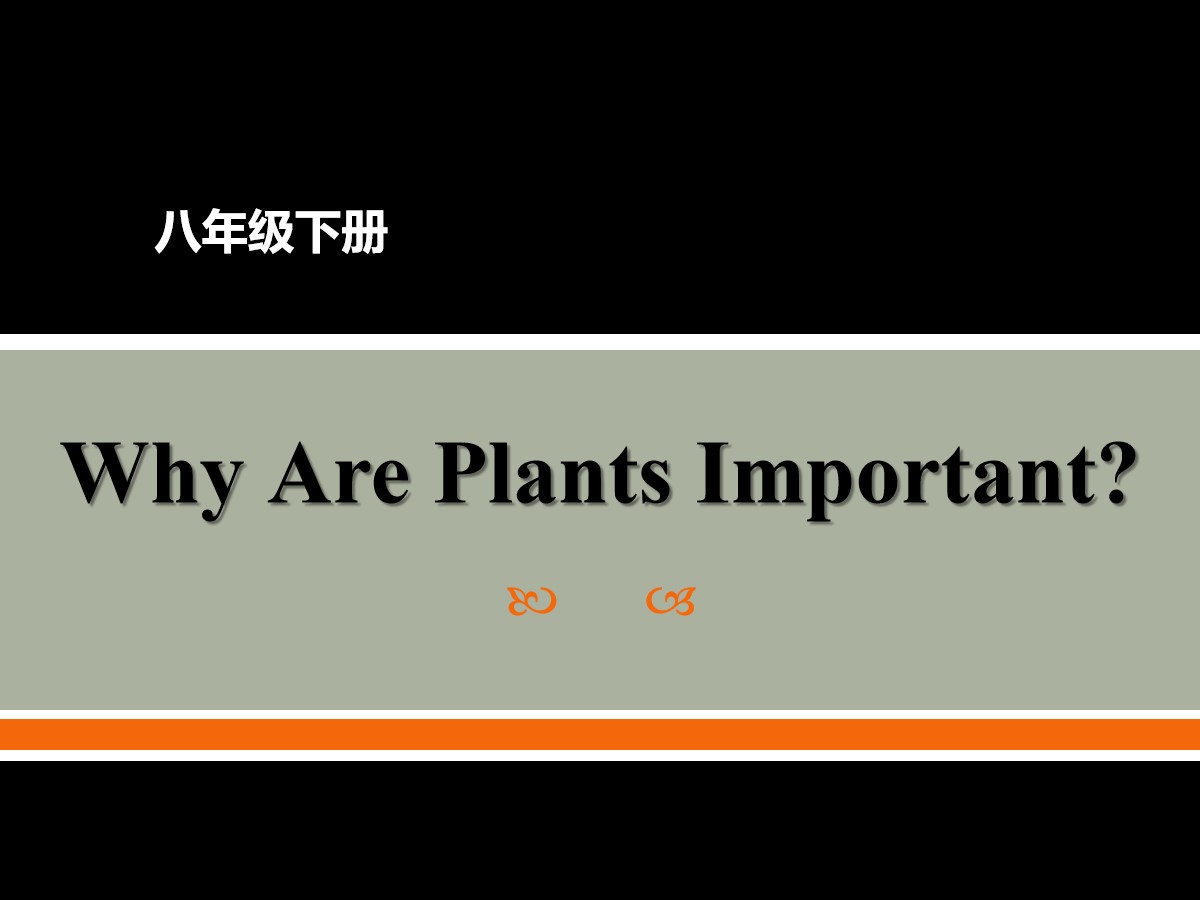 《Why Are Plants Important?》Plant a Plant PPT教学课件