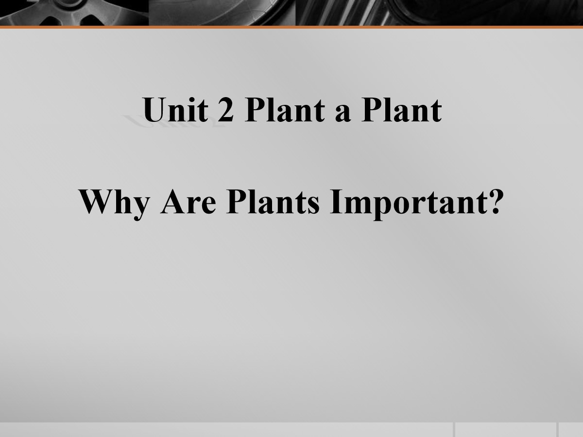 《Why Are Plants Important?》Plant a Plant PPT