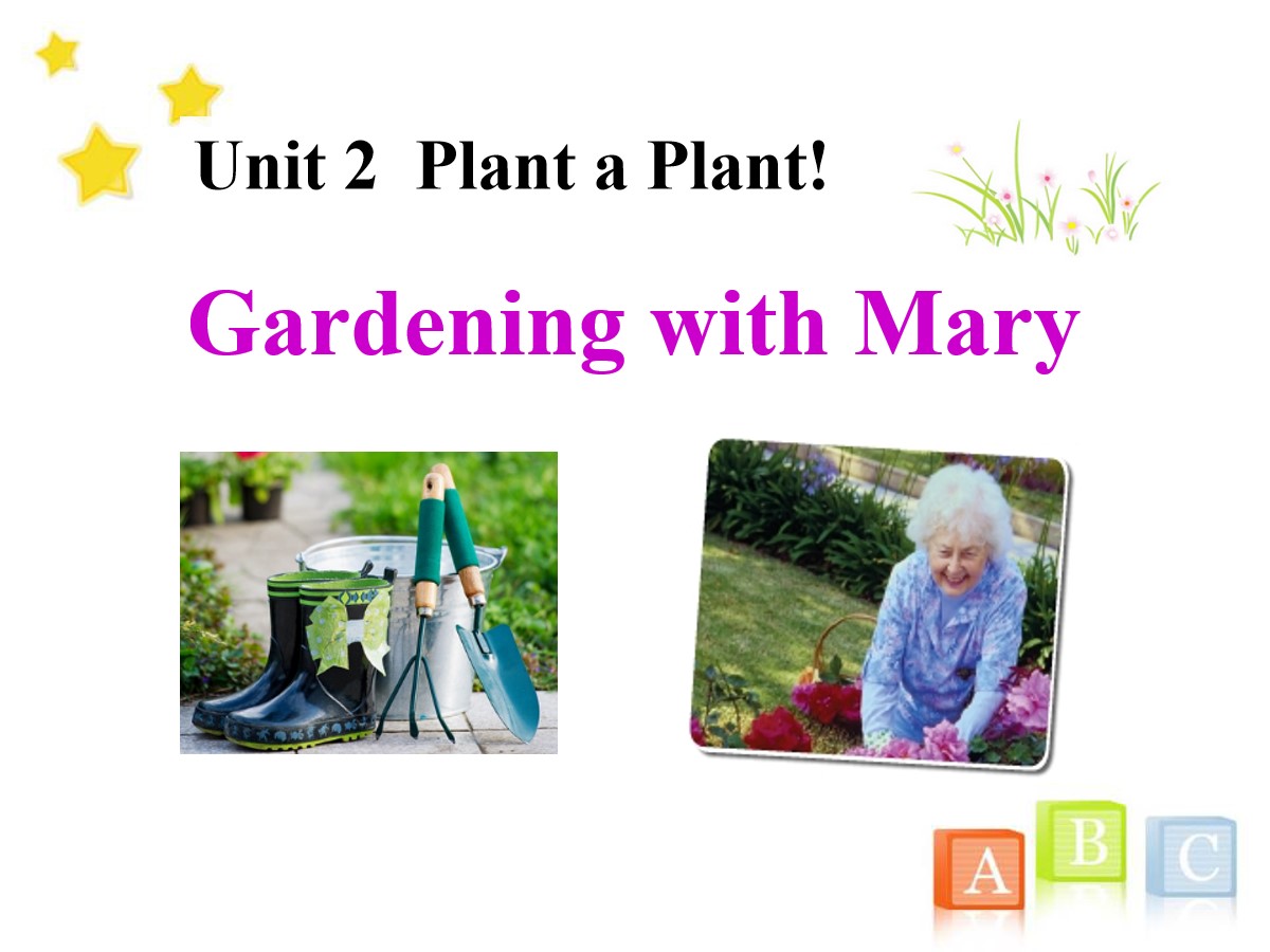 《Gardening with Mary》Plant a Plant PPT