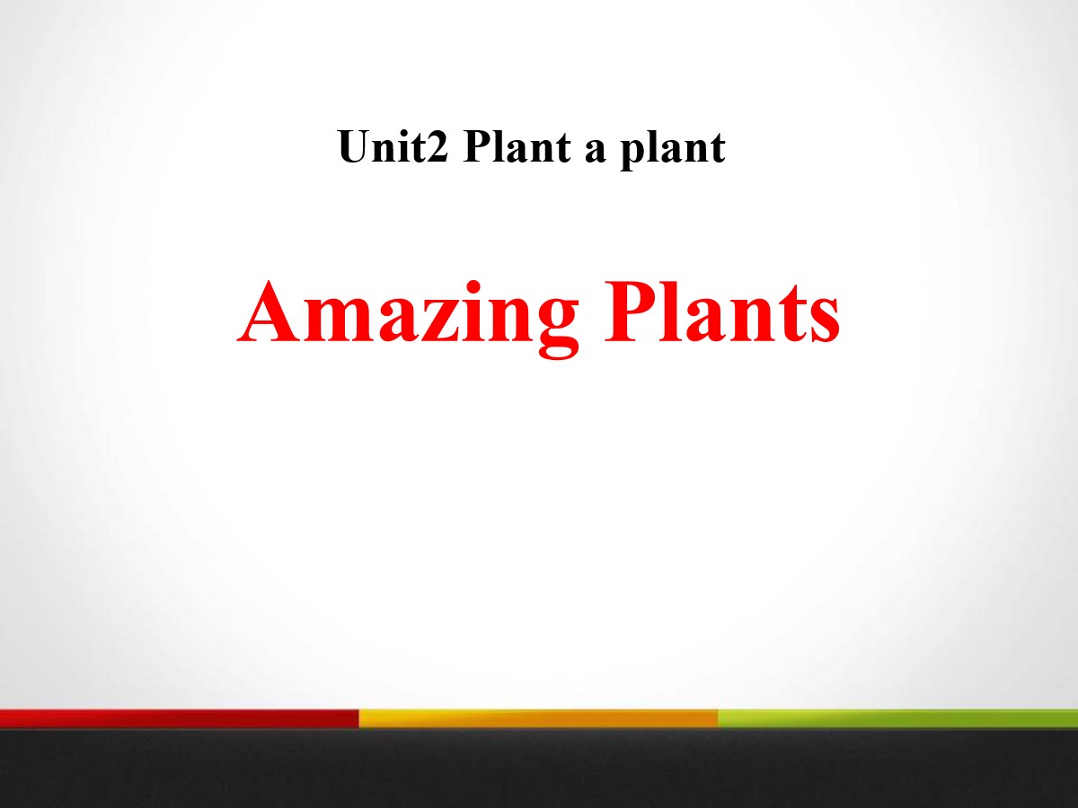 《Amazing Plants》Plant a Plant PPT