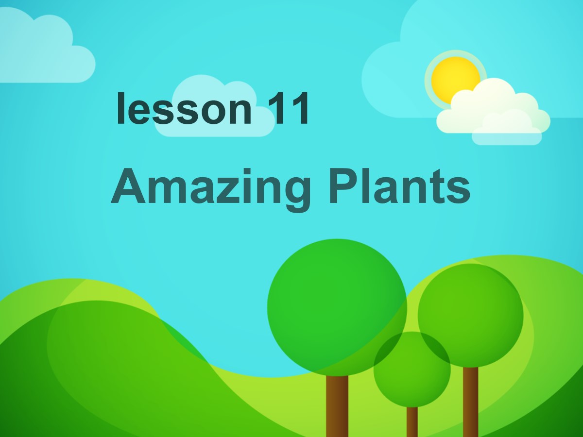 《Amazing Plants》Plant a Plant PPT课件